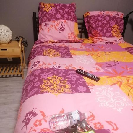 Chambres Dans Maison Familiale Saint-Girons  Eksteriør billede